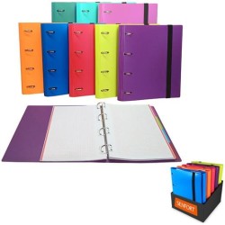 SENFORT CARPETA ANILLAS 4X30MM RINGBOOK C/RECAMBIO 120H A4 C/GOMA 4 SEPARADORES C/SURTIDOS