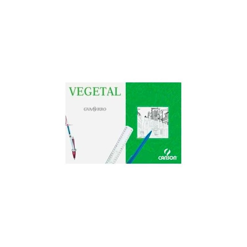 CANSON CAJA DE LÁMINAS VEGETAL BASIK 250 HOJAS 90GR 29,7X42CM