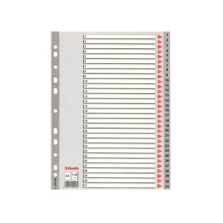 ESSELTE ÍNDICE NUMÉRICO MULTITALADRO 1-31 POLIPROPILENO A4 GRIS CON CARÁTULA ÍNDICE CARTÓN COLOR