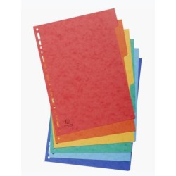 EXACOMPTA SEPARADORES NATURE FUTURE CARTULINA LUSTRADA 225GR 6 POSICIONES A4 COLORES