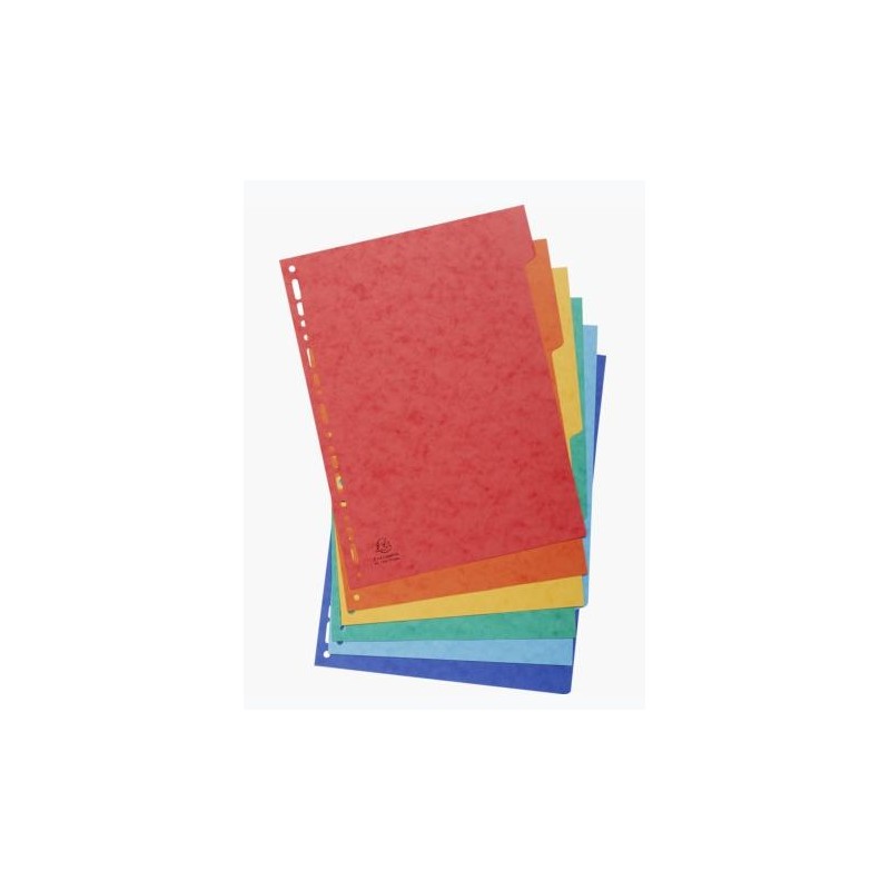 EXACOMPTA SEPARADORES NATURE FUTURE CARTULINA LUSTRADA 225GR 6 POSICIONES A4 COLORES