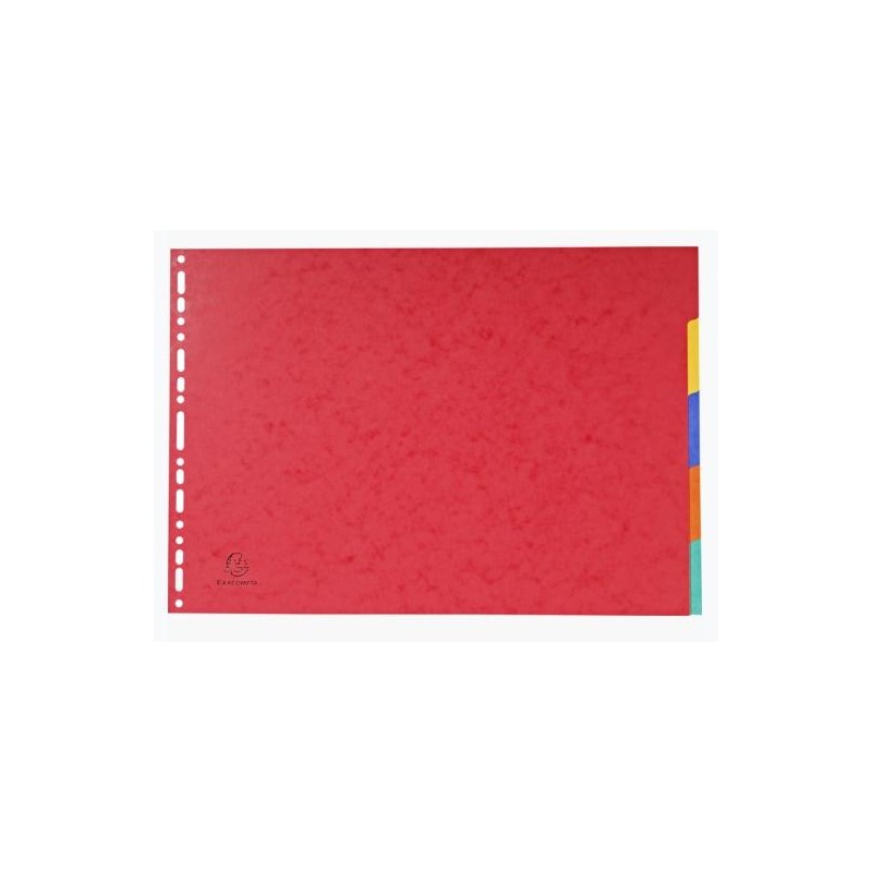 EXACOMPTA SEPARADORES NATURE FUTURE CARTULINA LUSTRADA 400GR 5 POSICIONES A3 COLORES