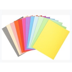 EXACOMPTA SUBCARPETAS A4 FOREVER COLORES SURTIDOS 220GR -100U-