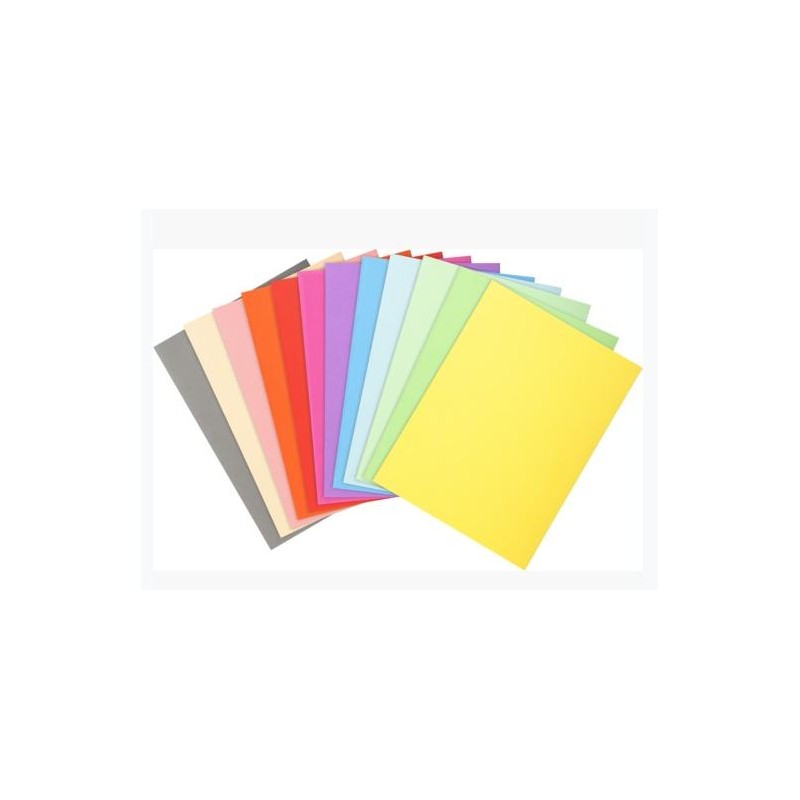EXACOMPTA SUBCARPETAS A4 FOREVER COLORES SURTIDOS 220GR -100U-