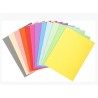 EXACOMPTA SUBCARPETAS A4 FOREVER COLORES SURTIDOS 220GR -100U-