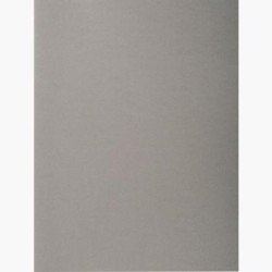 EXACOMPTA SUBCARPETAS A4 FOREVER COLOR GRIS 220GR -100U-