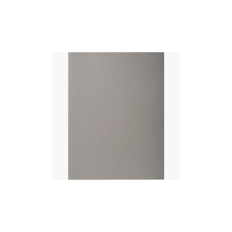 EXACOMPTA SUBCARPETAS A4 FOREVER COLOR GRIS 220GR -100U-