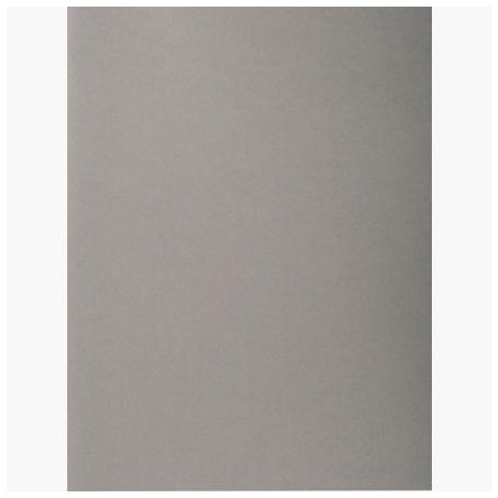 EXACOMPTA SUBCARPETAS A4 FOREVER COLOR GRIS 220GR -100U-