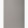EXACOMPTA SUBCARPETAS A4 FOREVER COLOR GRIS 220GR -100U-