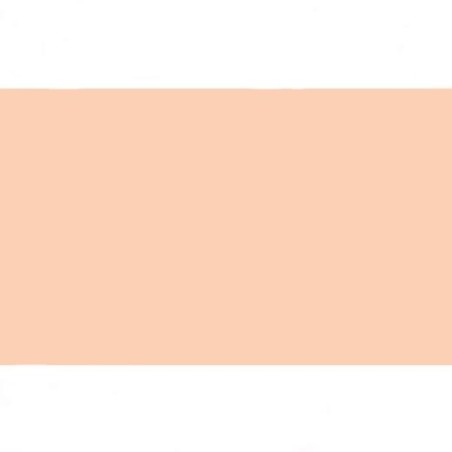 FAMA GOMA EVA 50X70CM GROSOR 2MM EB00 PIEL PACK 10 UD