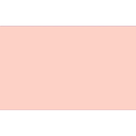 FAMA GOMA EVA A4 GROSOR 2MM EB28 PIEL PACK 10 UD