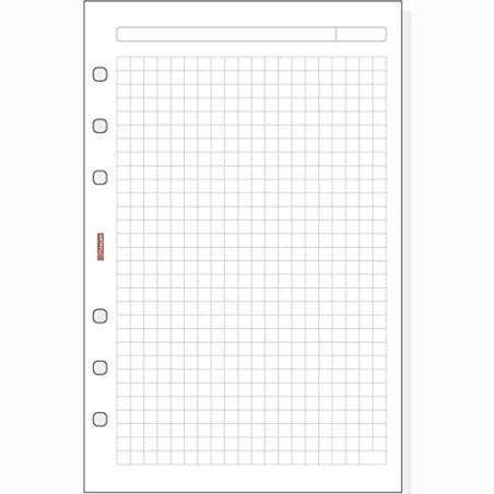 FINOCAM RECAMBIO AGENDA DE ANILLAS OPEN R540 500-117X181MM 50H CUADRÍCULA