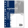 FINOCAM RECAMBIO ANUAL AGENDA 11 ANILLAS MULTIFIN 3002-155X215MM 1DP 2026