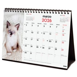 FINOCAM CALENDARIO DE SOBREMESA PARA ESCRIBIR S-210X150MM MV IMÁGENES GATITOS 2026