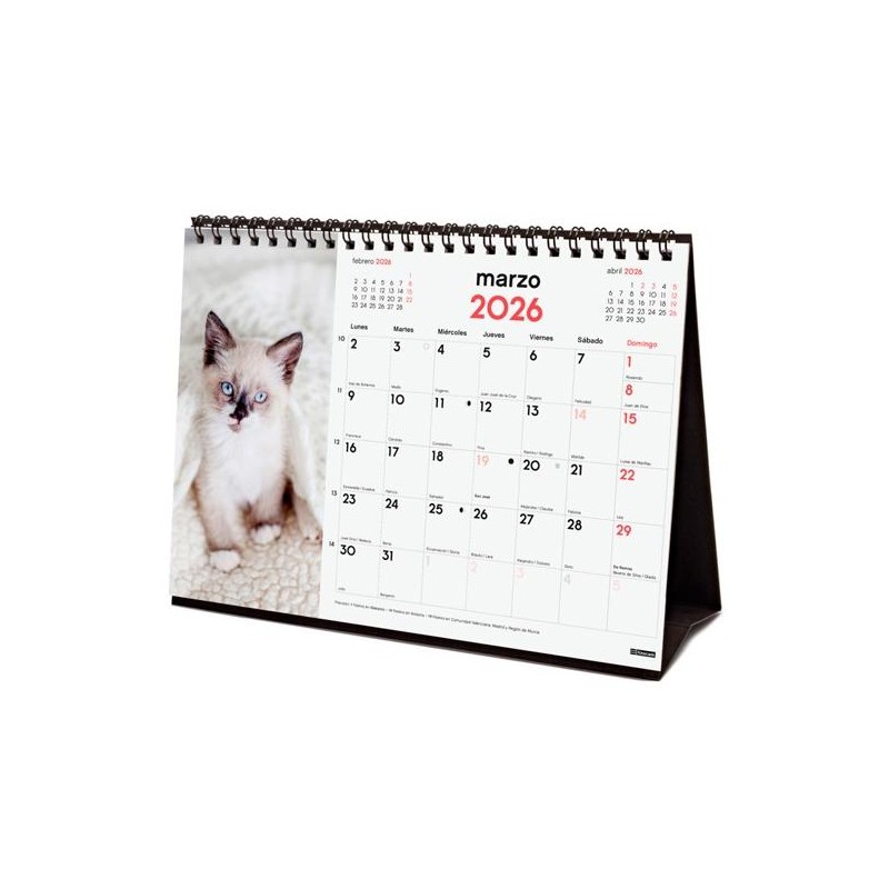 FINOCAM CALENDARIO DE SOBREMESA PARA ESCRIBIR S-210X150MM MV IMÁGENES GATITOS 2026