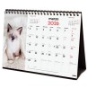 FINOCAM CALENDARIO DE SOBREMESA PARA ESCRIBIR S-210X150MM MV IMÁGENES GATITOS 2026
