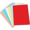 GIO SUBCARPETA SIMPLE CARTULINA A4 180GR ROJO PASTEL -PACK DE 50U-