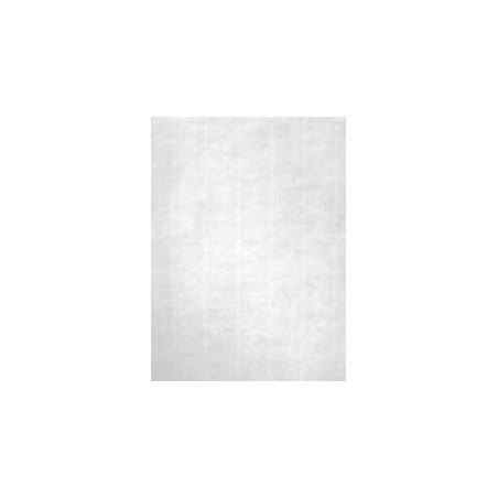 APLI PAPEL TEXTURA VERJURADO BLANCO 220 GR. TAMAÑO A4 - 20 HOJAS -