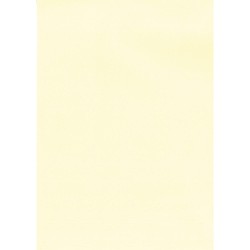 APLI PAPEL TEXTURA VERJURADO CREMA 220 GR. TAMAÑO A4 - 20 HOJAS -