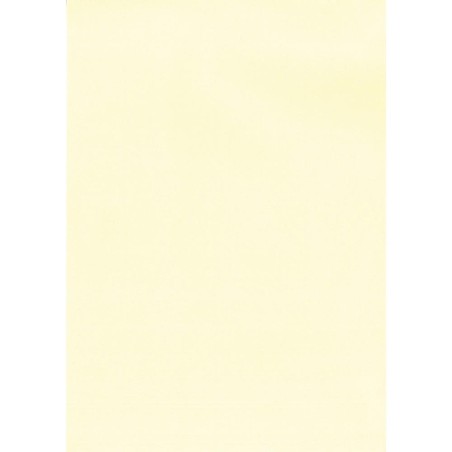 APLI PAPEL TEXTURA VERJURADO CREMA 220 GR. TAMAÑO A4 - 20 HOJAS -