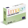 IMAGE PAPEL REPROGRÁFICO COLORACTION DIN A4 80GR PAQUETE 500H FOREST / VERDE MEDIO -CAJA 5 UD-