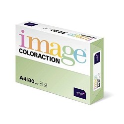 IMAGE PAPEL REPROGRÁFICO COLORACTION DIN A4 80GR PAQUETE 500H JUNGLE/VERDE PASTEL -CAJA 5 UD-