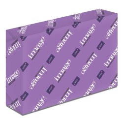 IMAGE PAPEL REPROGRÁFICO DIGICOLOR DIN SRA3 300GR PAQUETE 125H BLANCO -CAJA 5 UD-