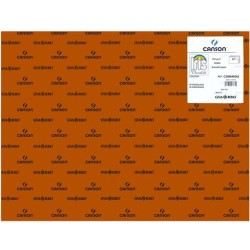 IRIS CARTULINA 50X65CM 185GR CHOCOLATE -25U-
