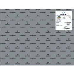 IRIS CARTULINA 50X65CM 185GR GRIS PLOMO -25U-