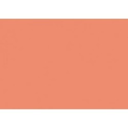 IRIS CARTULINA 297X420MM 185GR CORAL -50U-