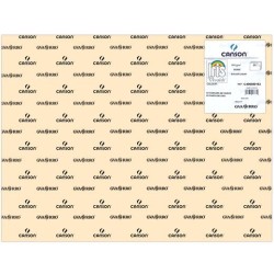 IRIS CARTULINA 50X65CM 185GR CÁSCARA DE HUEVO -25U-