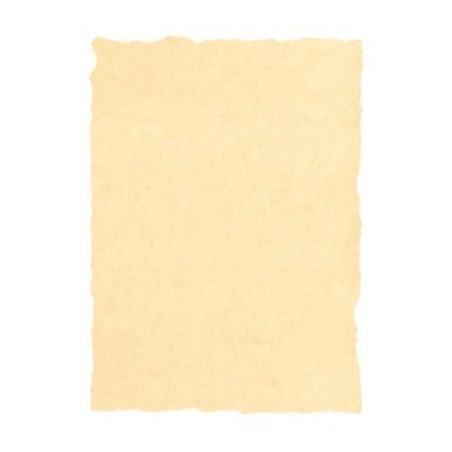 MICHEL PERGAMINO TROQUELADO 160GR A4 PACK 25U CREMA