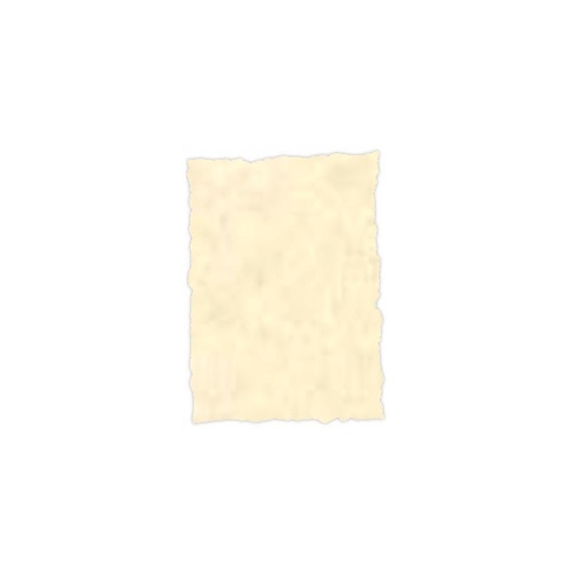 MICHEL PERGAMINO TROQUELADO 150GR A4 PACK 25U TOPACIO